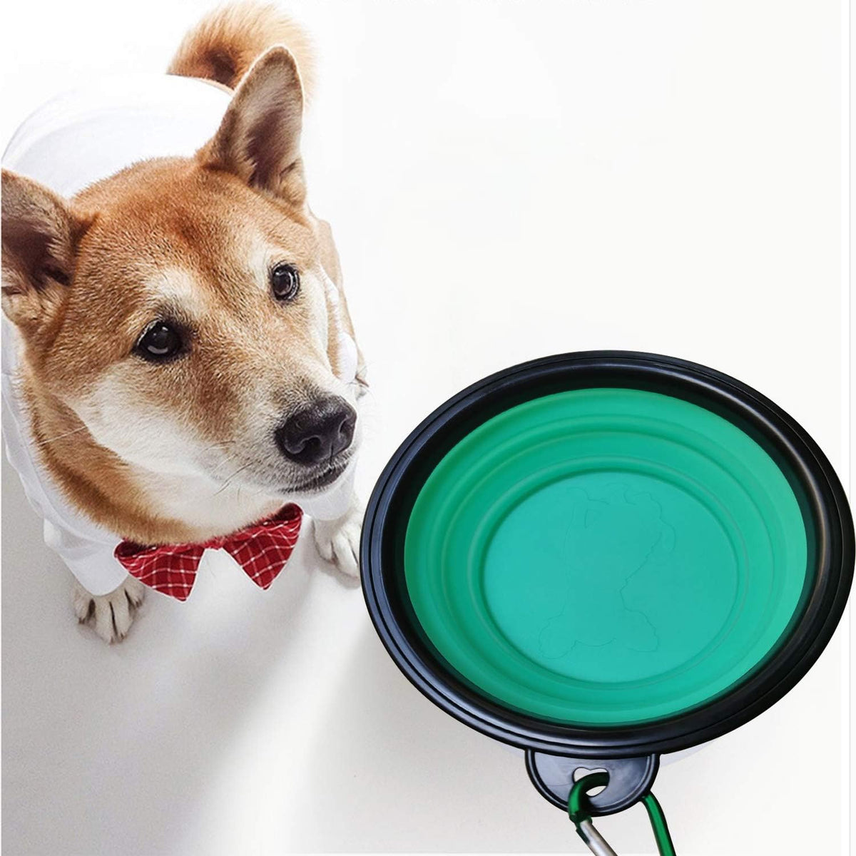 Collapsible Dog Bowl, Silicone Foldable Expandable Cup Dish, for Pet Dog/Cat Food Water Feeding Portable Travel Bowl - Green